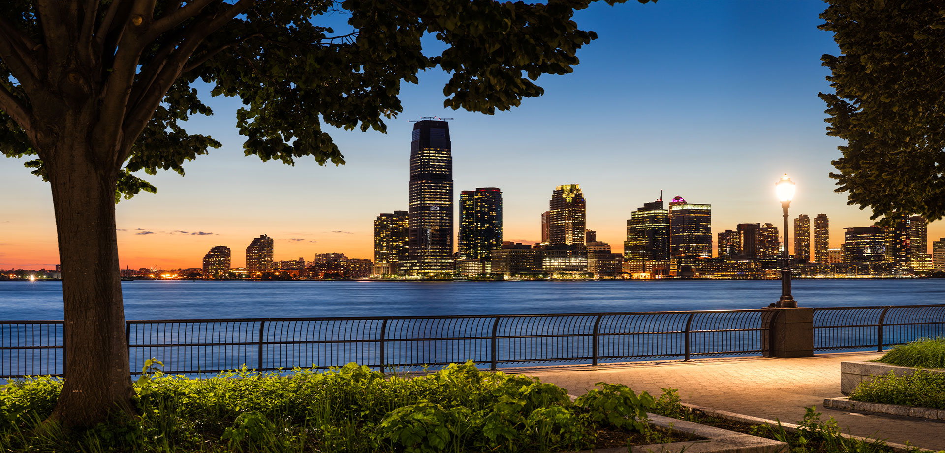 A nighttime cityscape with a lit-up skyline and a river, featuring the silhouette of a large tree and a bench in the foreground.