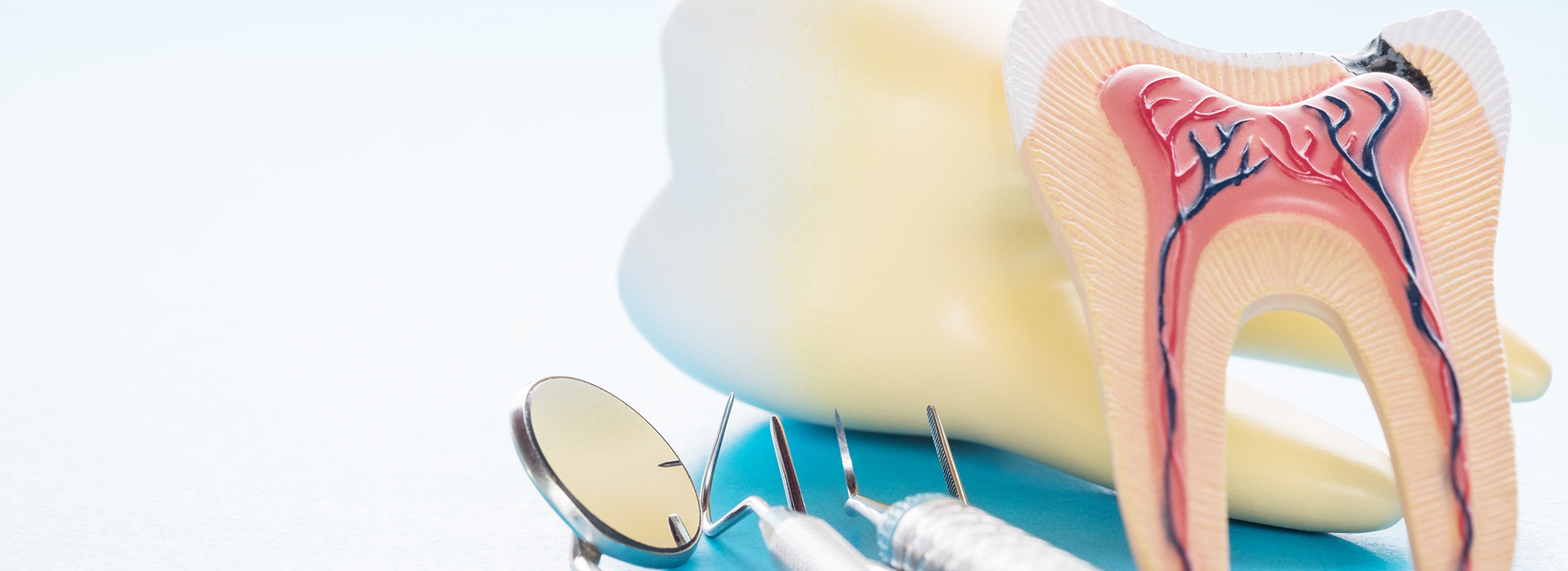 The image shows a dental model with a toothbrush and dental floss, placed next to an illustration of a tooth with a cavity and gum disease.